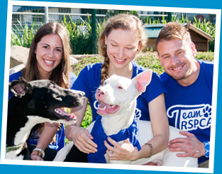 Team RSPCA group image